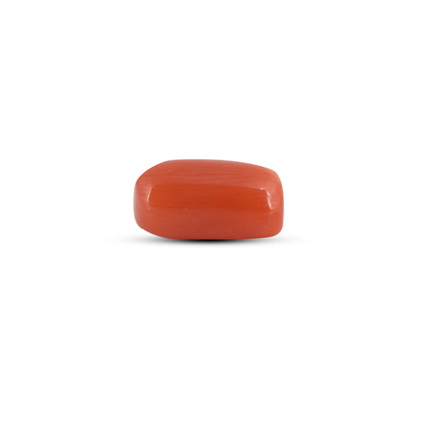 Red Coral - 3.05 Carat