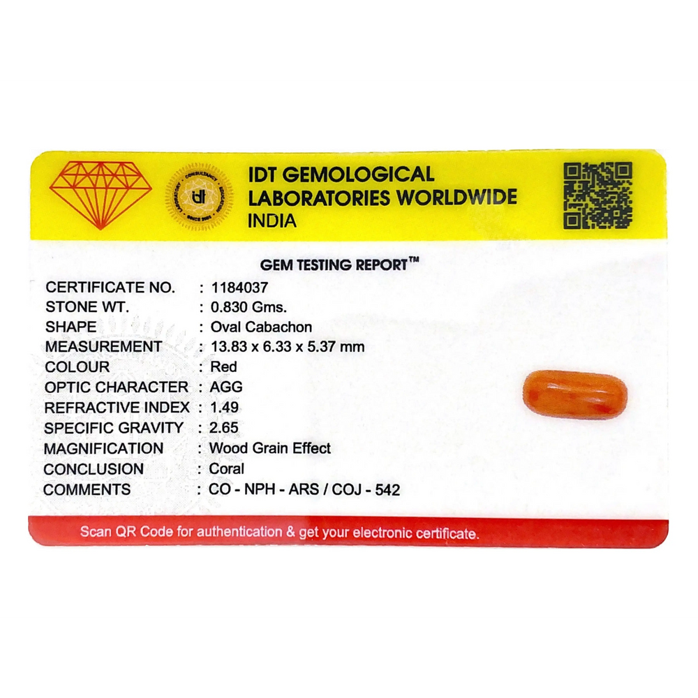 Red Coral - 4.15 Carat - Pramogh