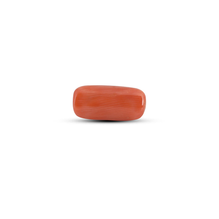 Red Coral - 3.85 Carat - Pramogh
