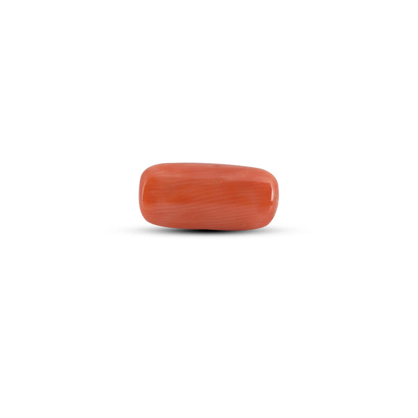 Red Coral - 3.85 Carat - Pramogh