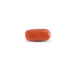 Red Coral - 3.65 Carat - Pramogh