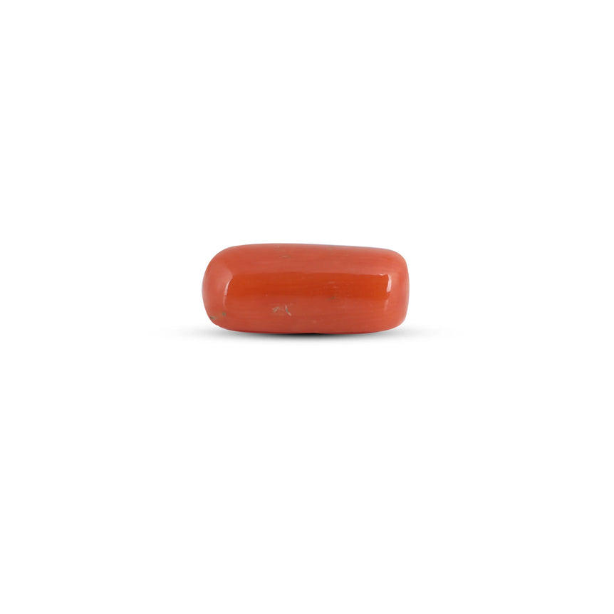 Red Coral - 3.65 Carat - Pramogh