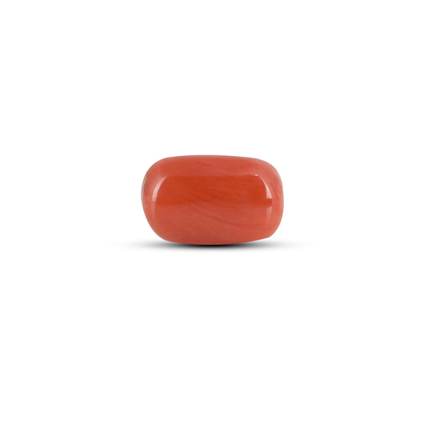 Red Coral - 2.83 Carat - Pramogh