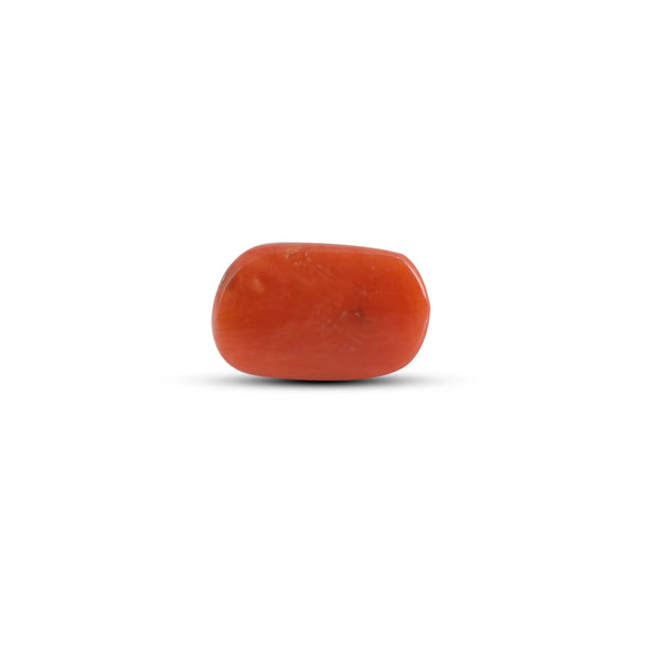 Red Coral - 2.83 Carat