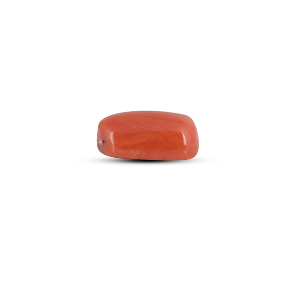 Red Coral - 2.83 Carat