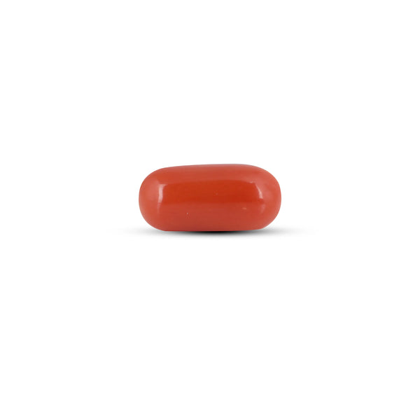 Red Coral - 2.7 Carat - Pramogh