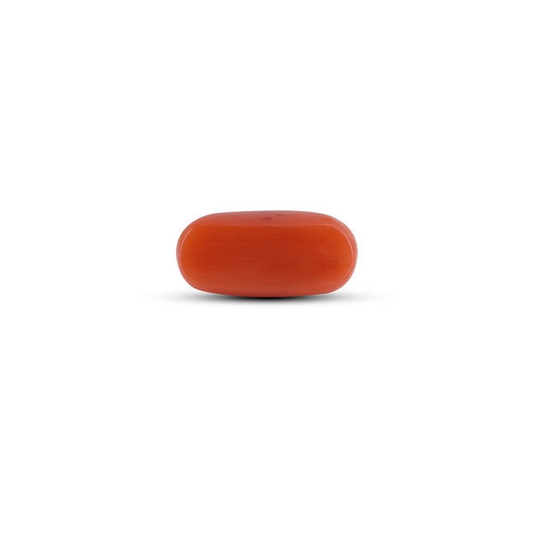 Red Coral - 2.7 Carat