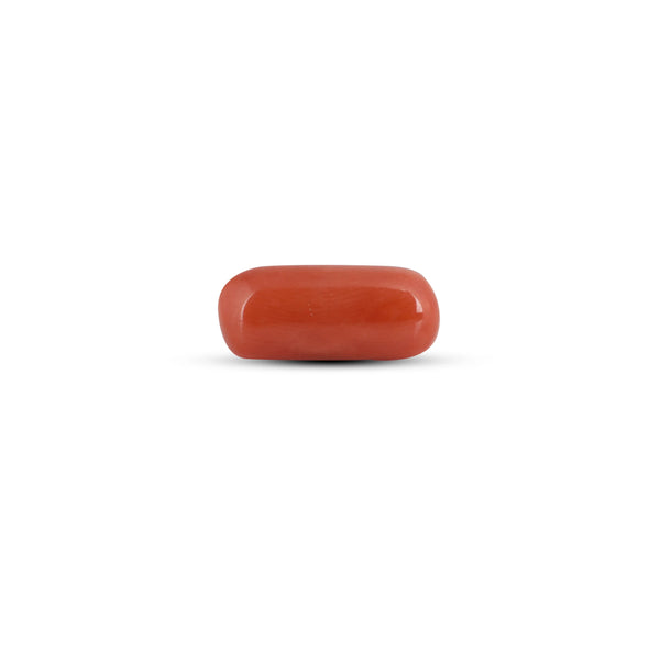 Red Coral - 3.6 Carat - Pramogh
