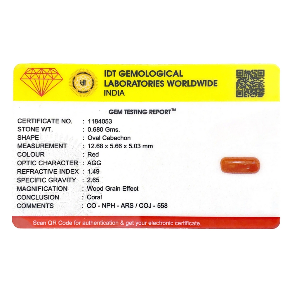 Red Coral - 3.4 Carat - Pramogh