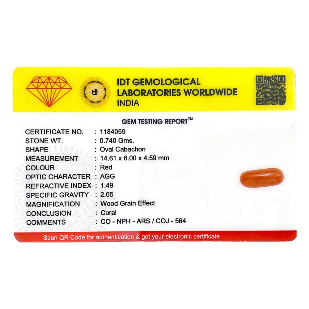 Red Coral - 3.7 Carat - Pramogh