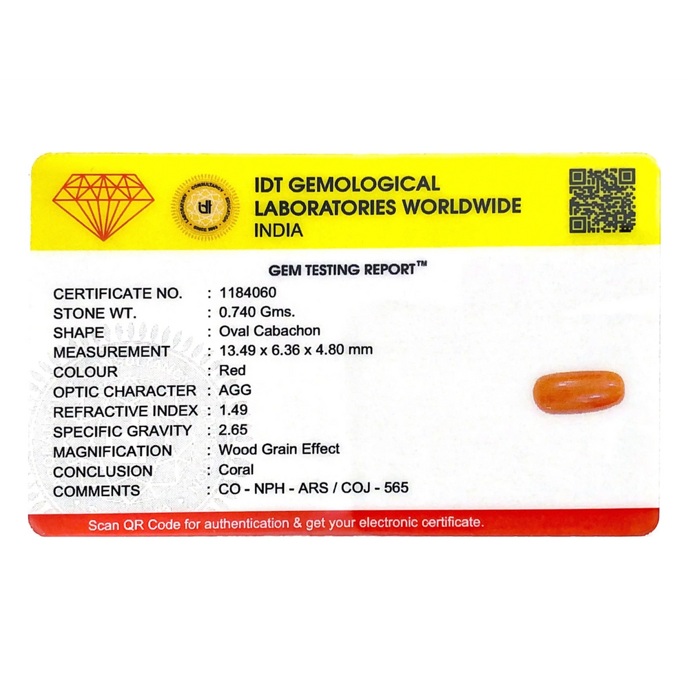 Red Coral - 3.7 Carat - Pramogh