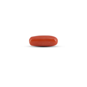 Red Coral - 5.85 Carat - Pramogh