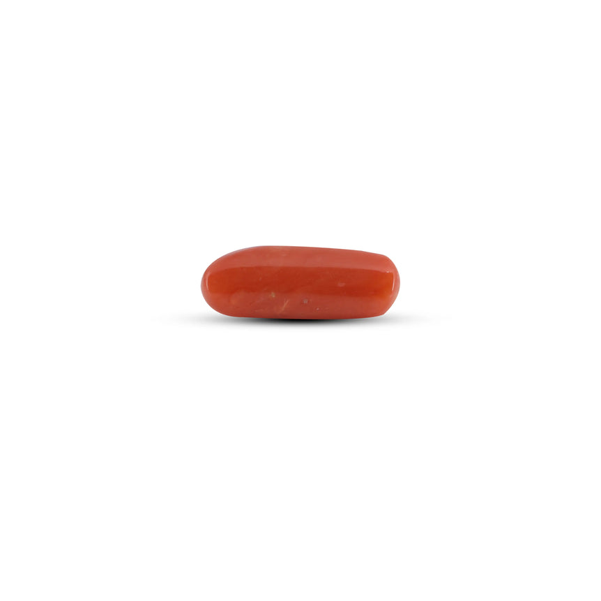 Red Coral - 5.85 Carat - Pramogh
