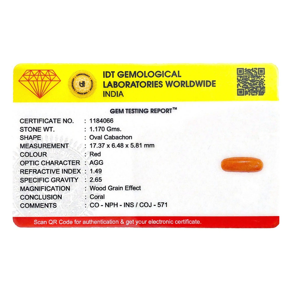Red Coral - 5.85 Carat - Pramogh