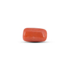Red Coral - 5.45 Carat - Pramogh