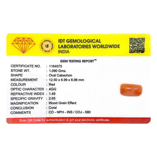 Red Coral - 5.45 Carat - Pramogh