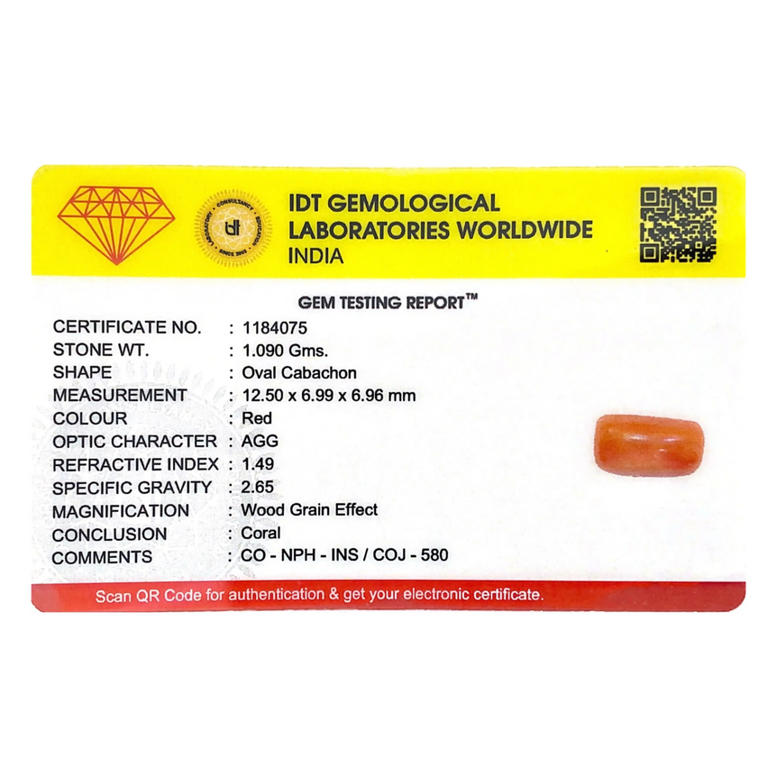 Red Coral - 5.45 Carat - Pramogh