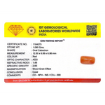 Red Coral - 5.45 Carat - Pramogh