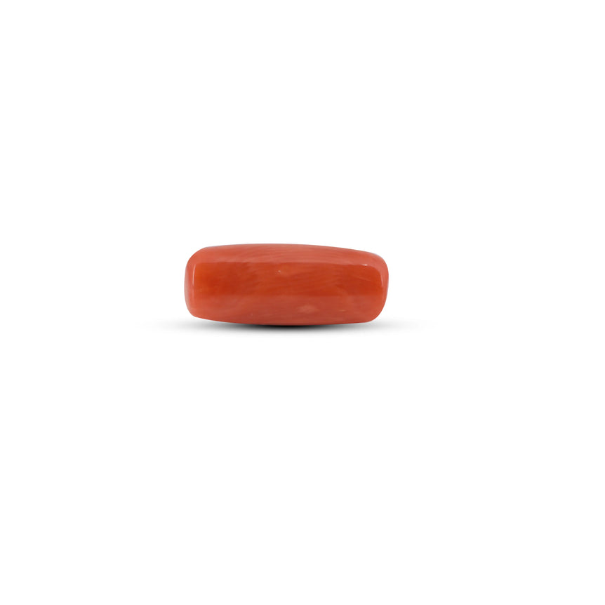 Red Coral - 5.75 Carat - Pramogh