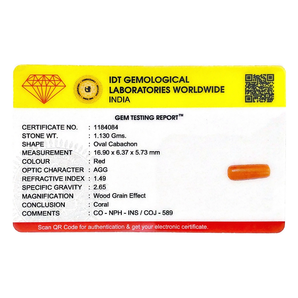 Red Coral - 5.65 Carat - Pramogh