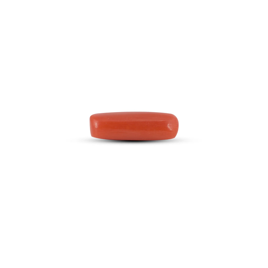 Red Coral - 5.25 Carat - Pramogh