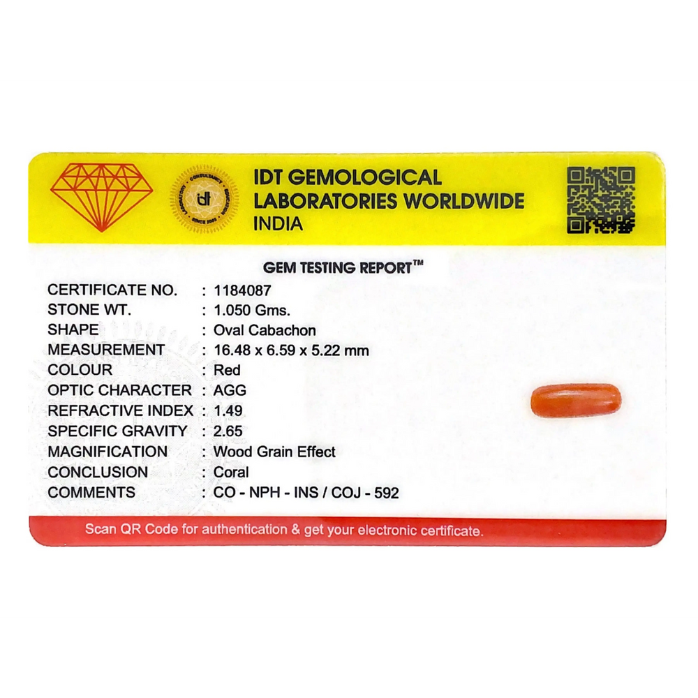 Red Coral - 5.25 Carat - Pramogh