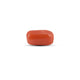 Red Coral - 4.83 Carat - Pramogh