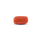 Red Coral - 4.83 Carat - Pramogh