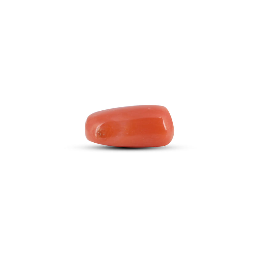 Red Coral - 4.83 Carat - Pramogh
