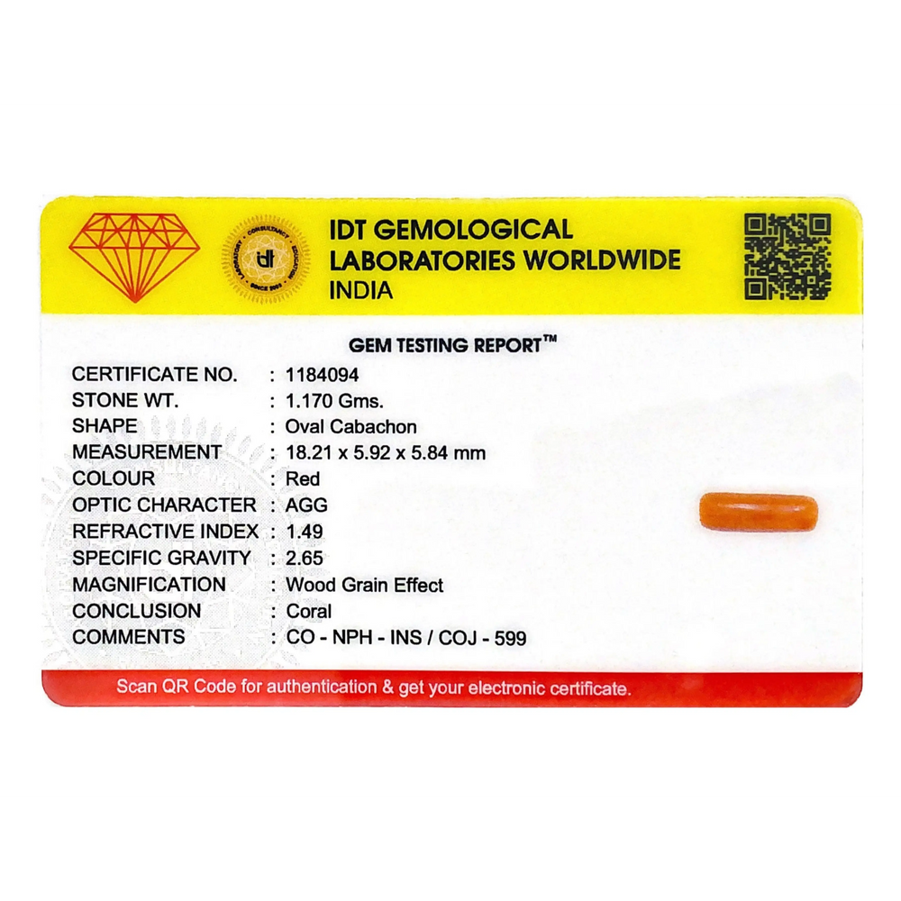 Red Coral - 5.85 Carat - Pramogh
