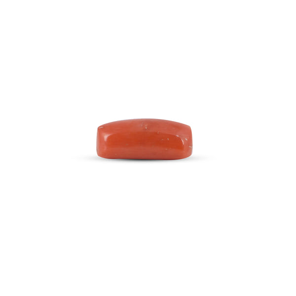 Red Coral - 0.85 Carat