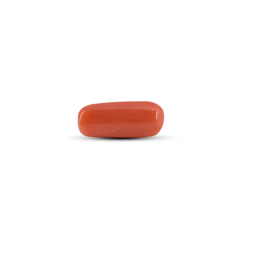 Red Coral - 6.65 Carat - Pramogh
