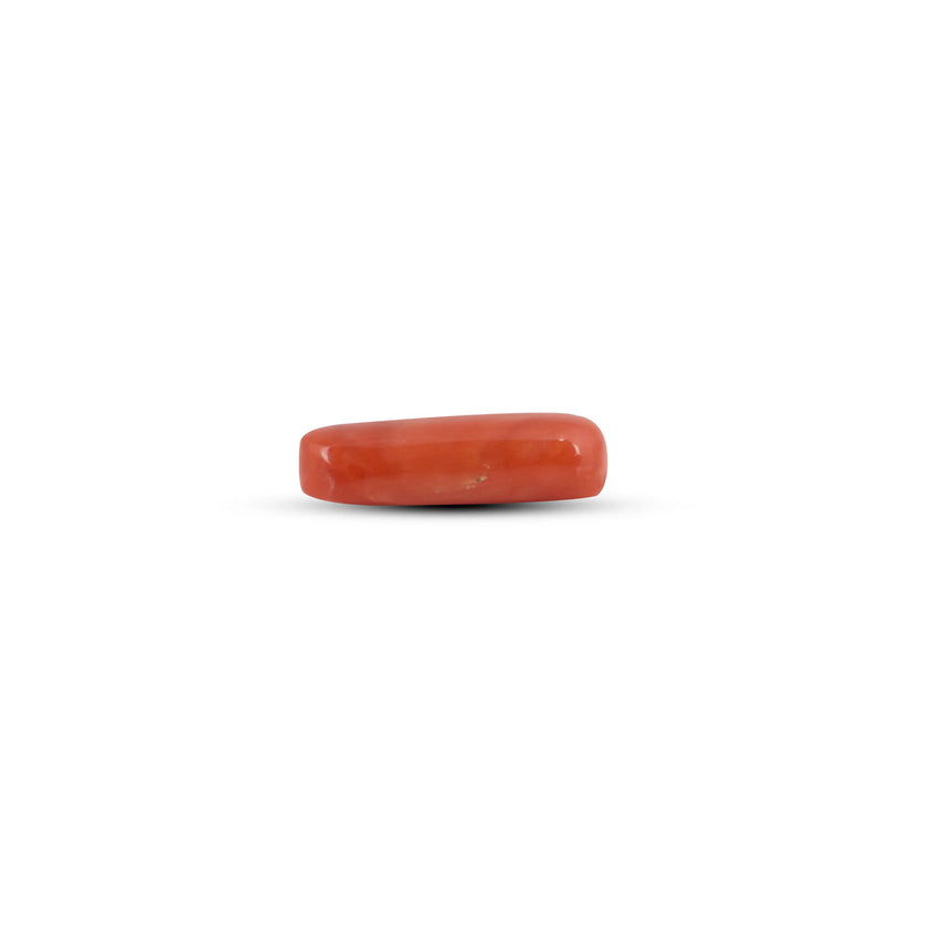 Red Coral - 6.45 Carat - Pramogh