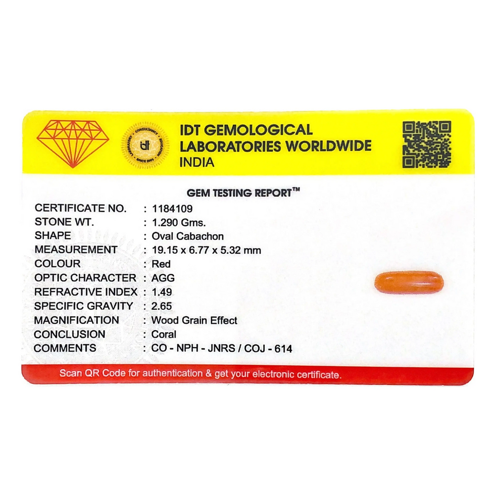 Red Coral - 6.45 Carat - Pramogh
