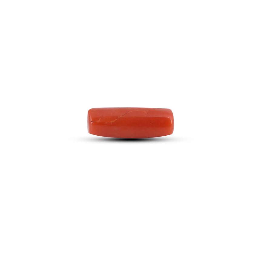 Red Coral - 6.45 Carat - Pramogh
