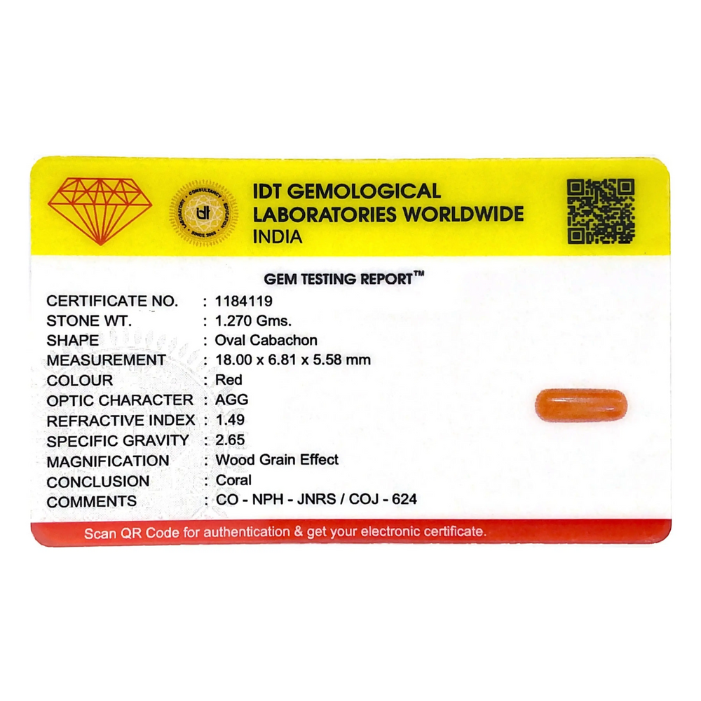 Red Coral - 6.35 Carat - Pramogh