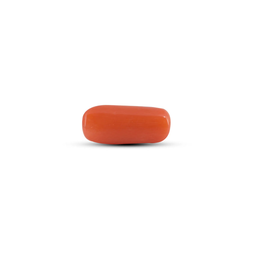 Red Coral - 6.4 Carat - Pramogh