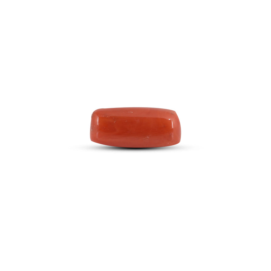 Red Coral - 6.45 Carat - Pramogh