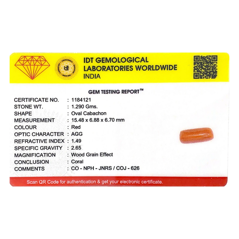 Red Coral - 6.45 Carat - Pramogh