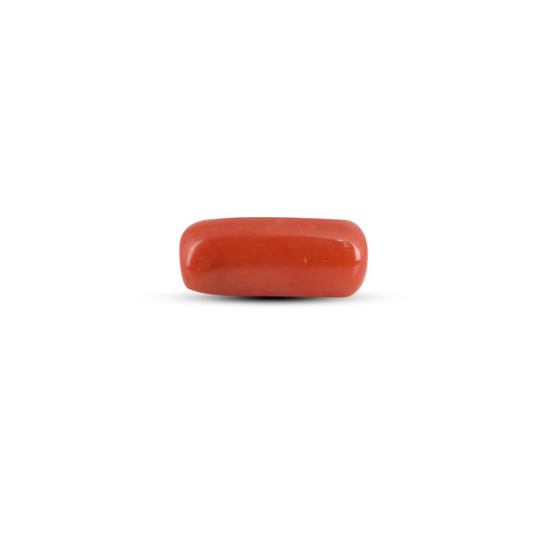 Red Coral - 6.35 Carat - Pramogh