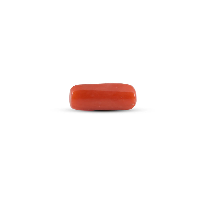 Red Coral - 6.35 Carat - Pramogh