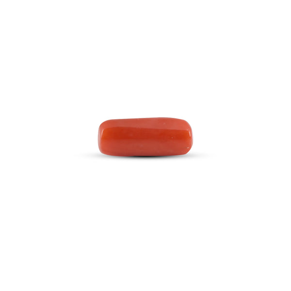 Red Coral - 6.35 Carat - Pramogh