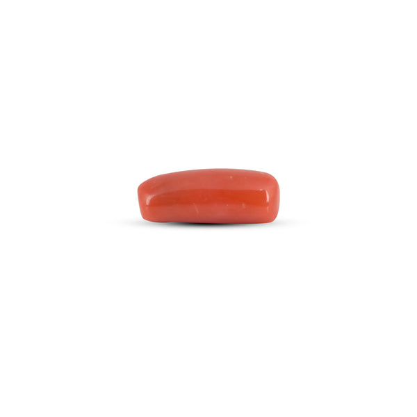 Red Coral - 6.35 Carat - Pramogh