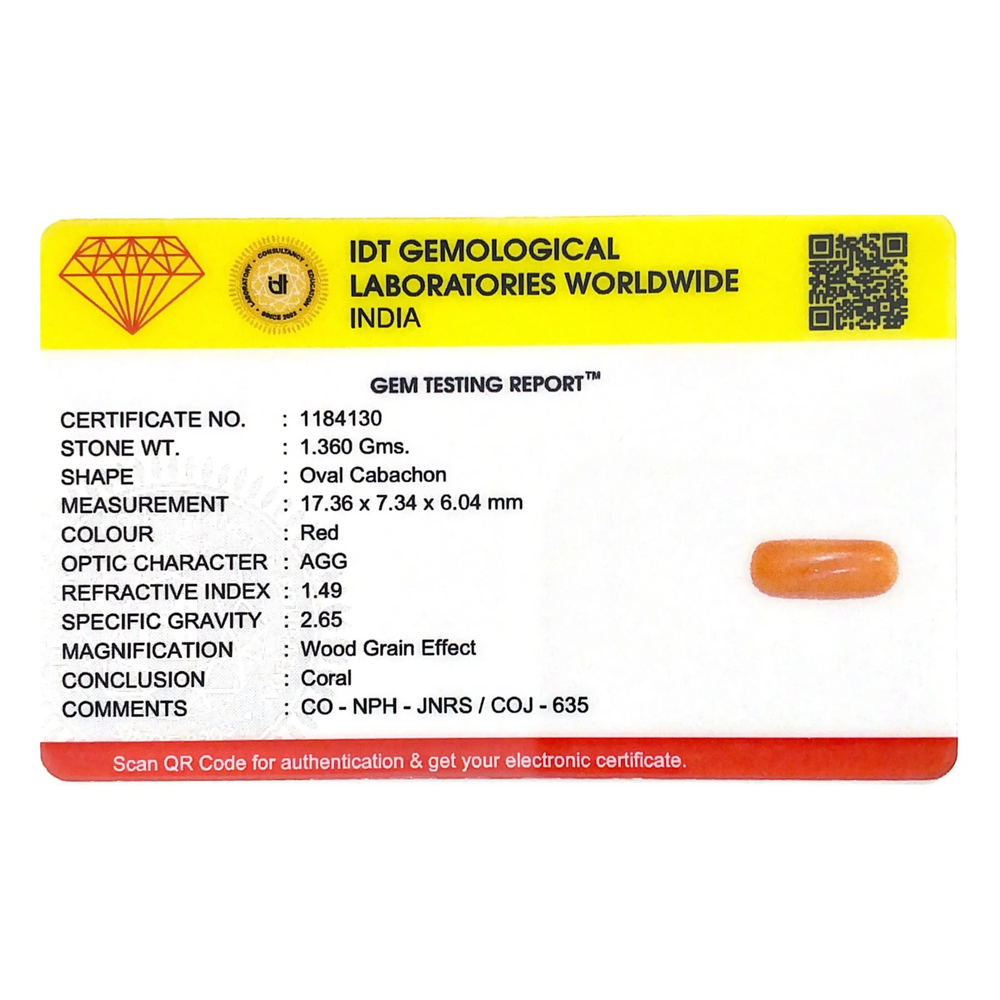 Red Coral - 6.8 Carat - Pramogh