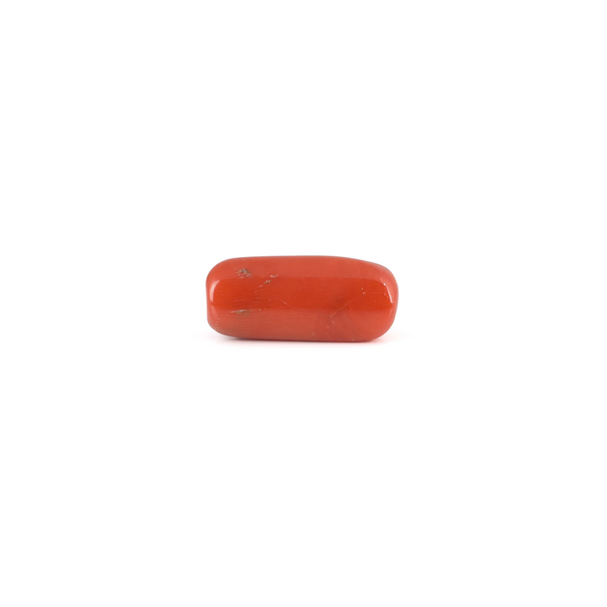 Red Coral - 8.35 Carat - Pramogh