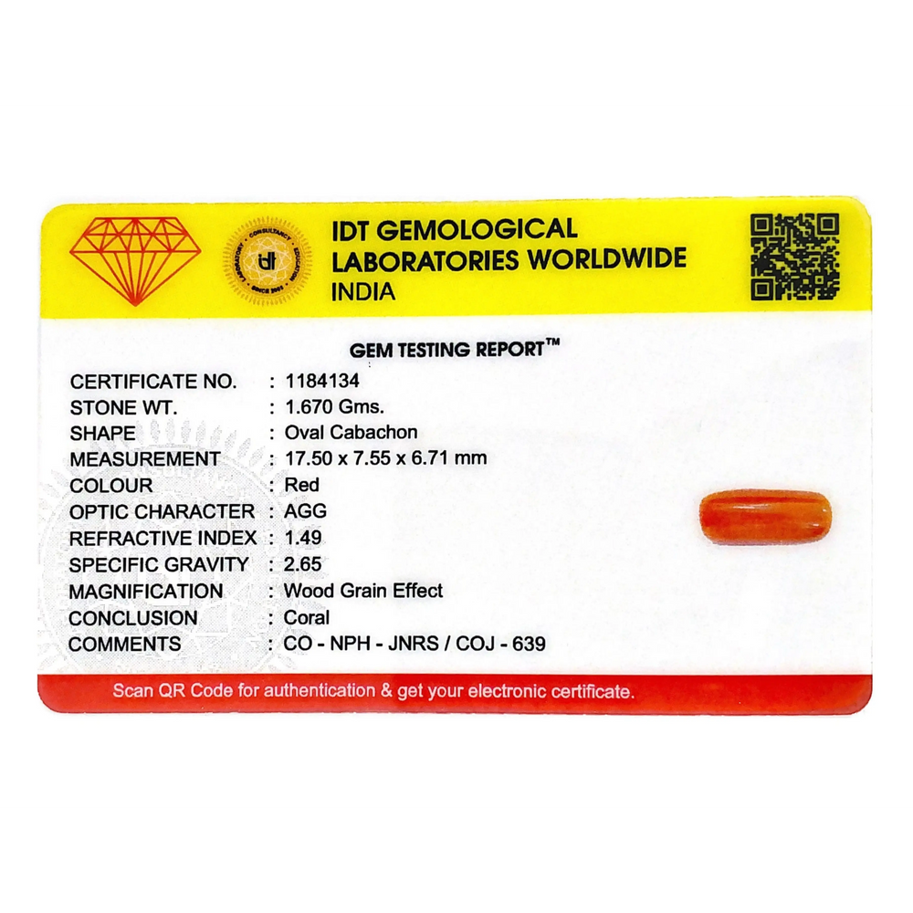 Red Coral - 8.35 Carat - Pramogh