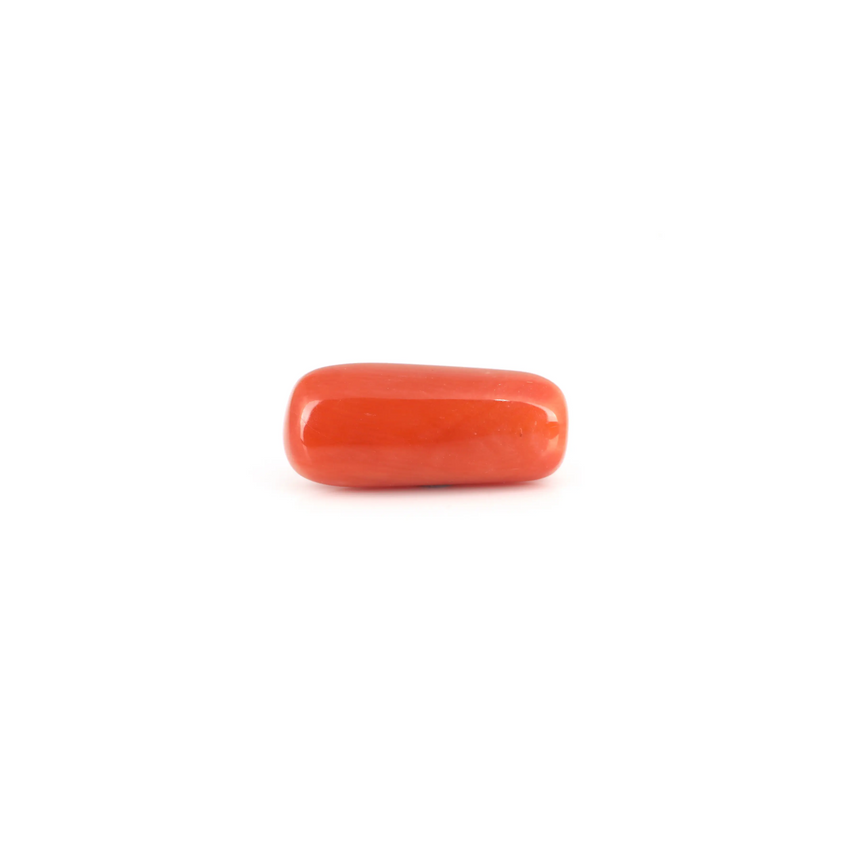 Red Coral - 6.35 Carat - Pramogh
