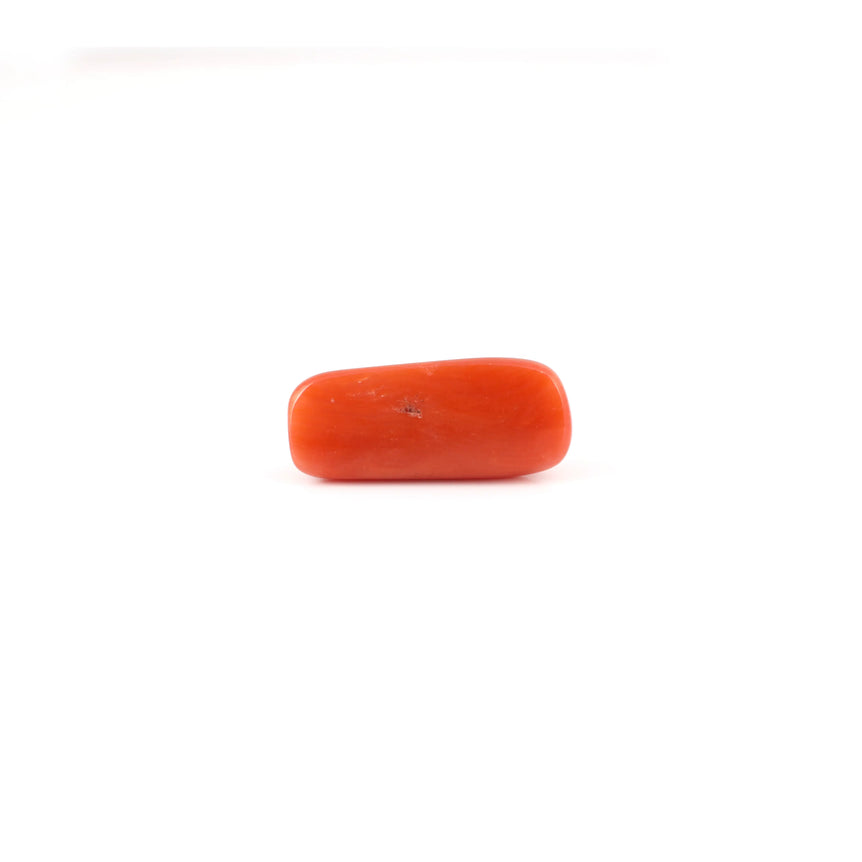 Red Coral - 6.35 Carat - Pramogh