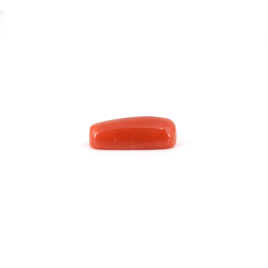 Red Coral - 6.35 Carat - Pramogh