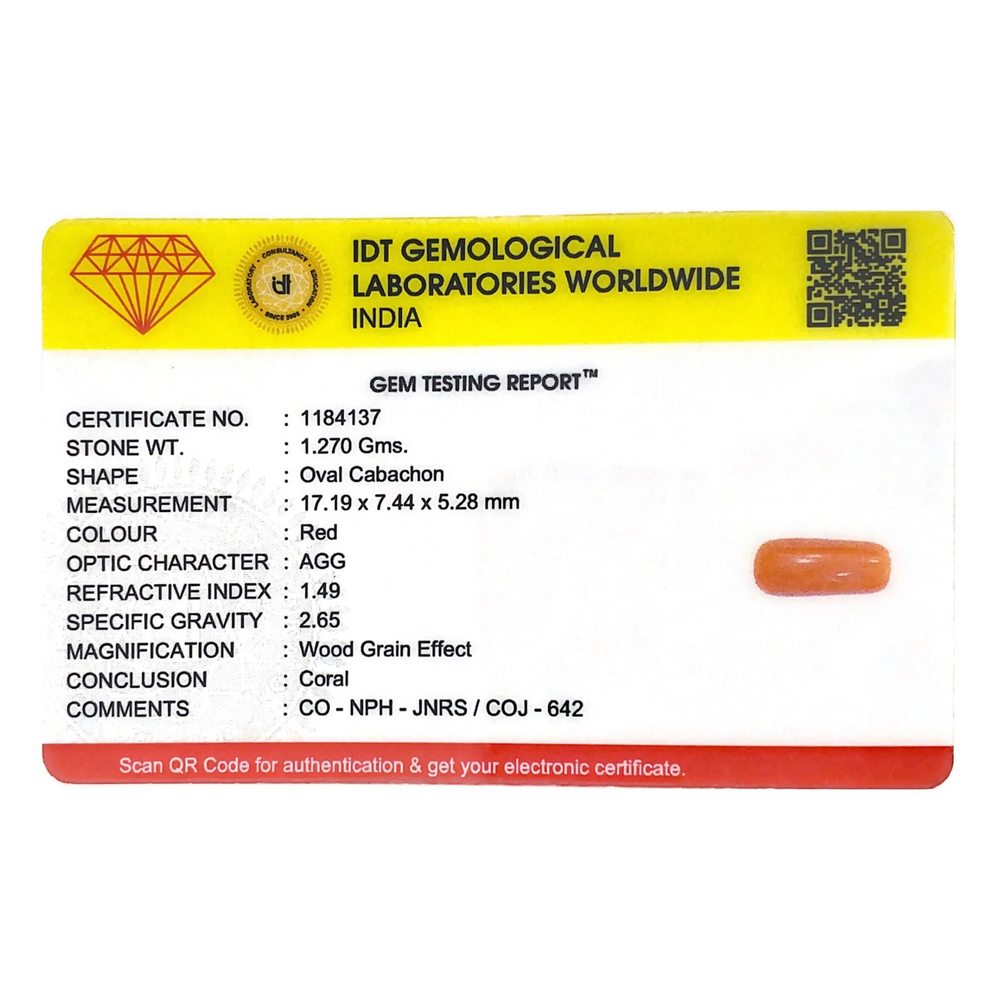 Red Coral - 6.35 Carat - Pramogh